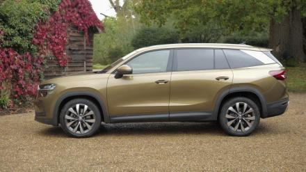 Skoda Kodiaq Estate 1.5 TSI e-TEC Sport Line 5dr DSG [7 Seat]